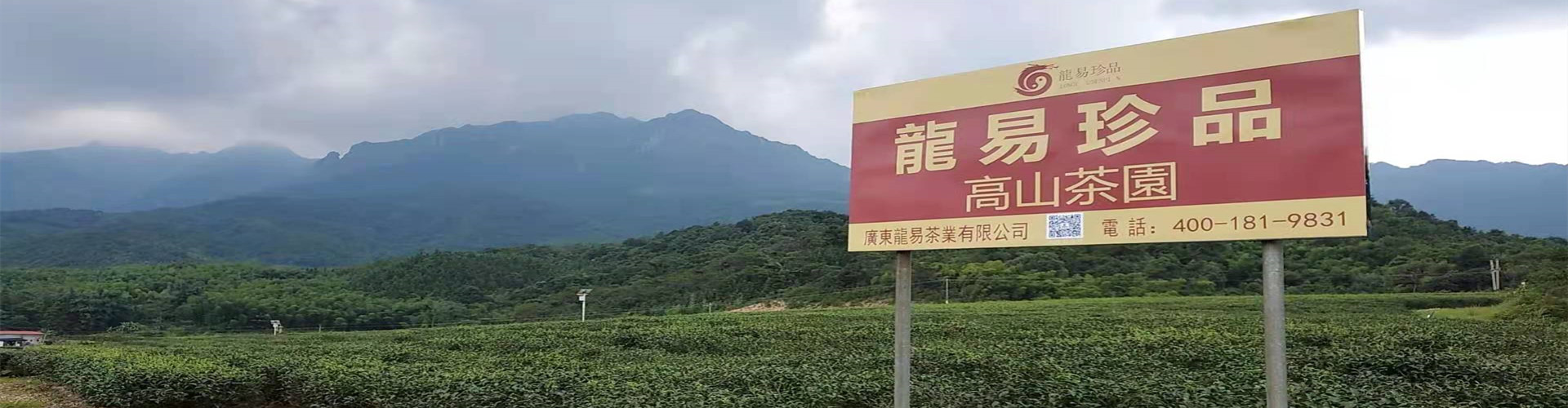 联系我们